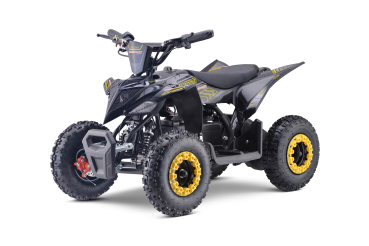 E-Quad MRM Miniwarrior 1000 Watt 36 Volt 3 Stufendrossel